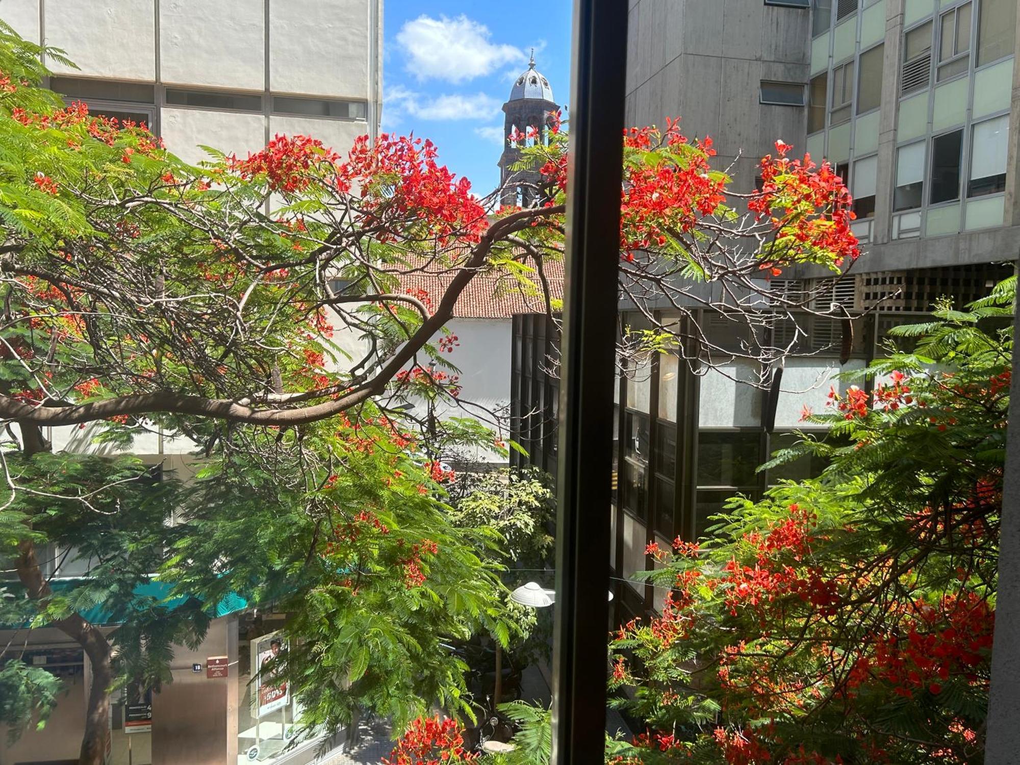 Niko Rooms Santa Cruz de Tenerife Exterior photo